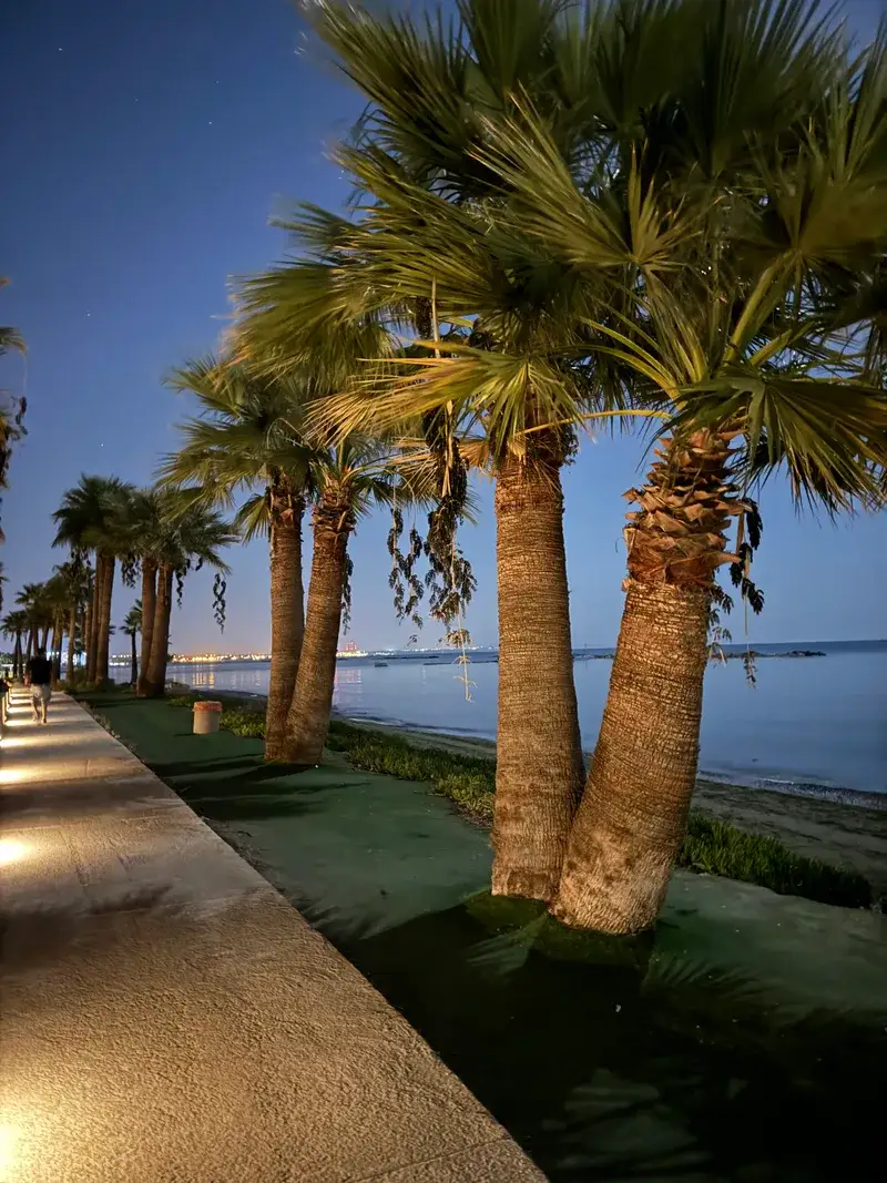 Palm-lined promenade by the sea at night