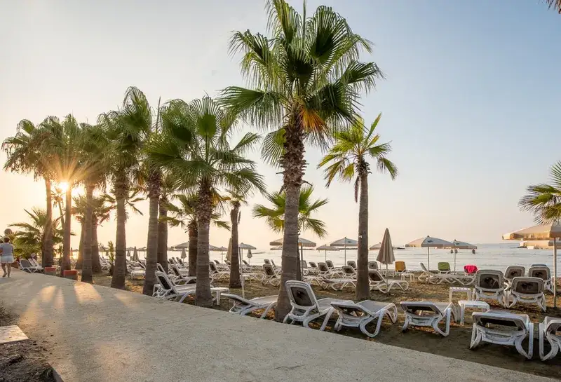 Oroklini Beach with palm trees and sun loungers at sunset