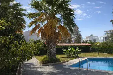 Private pool and palm garden at Oroklini Beach House, Cyprus — perfect for family summers